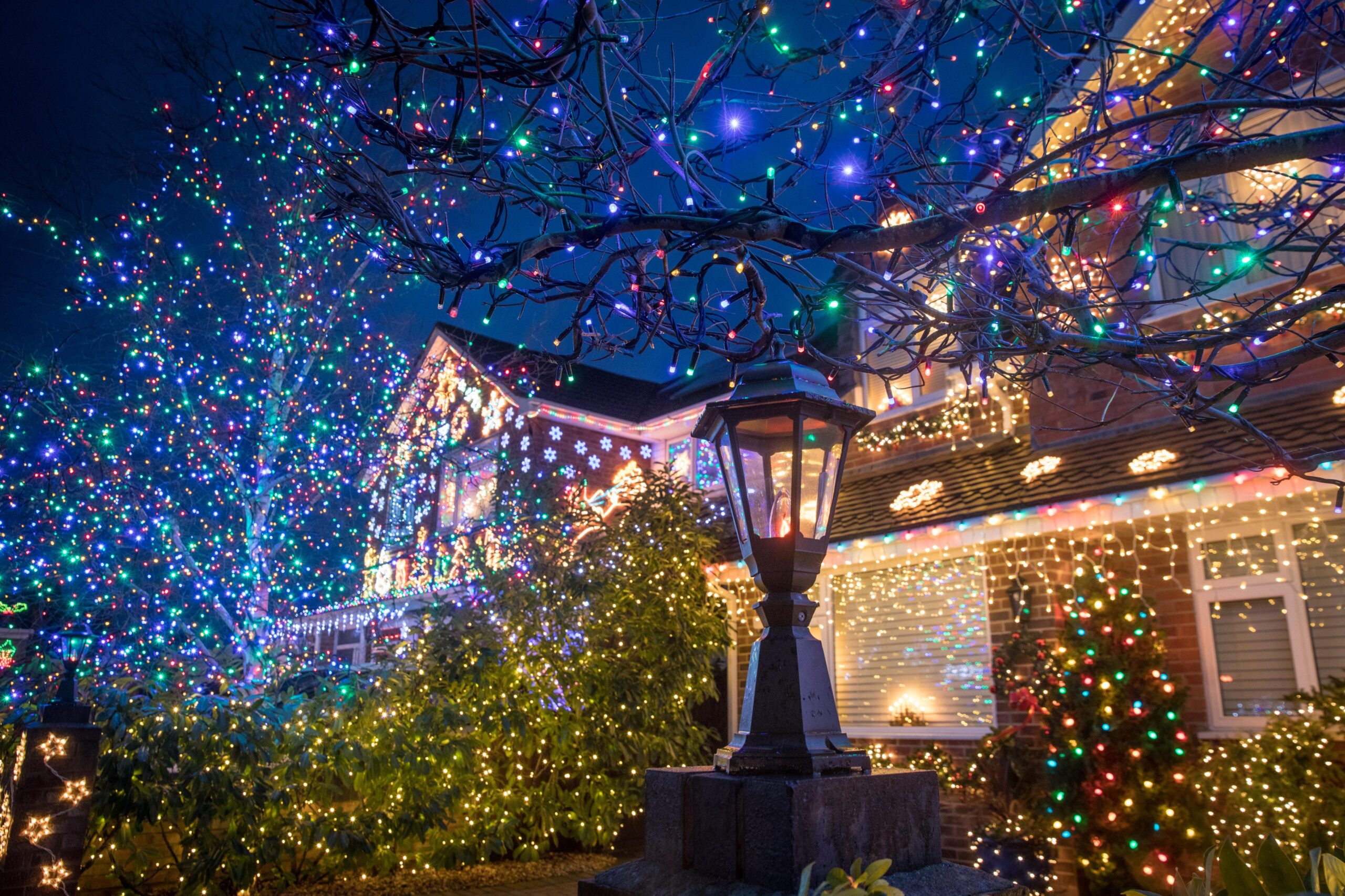 Christmas tree and Light