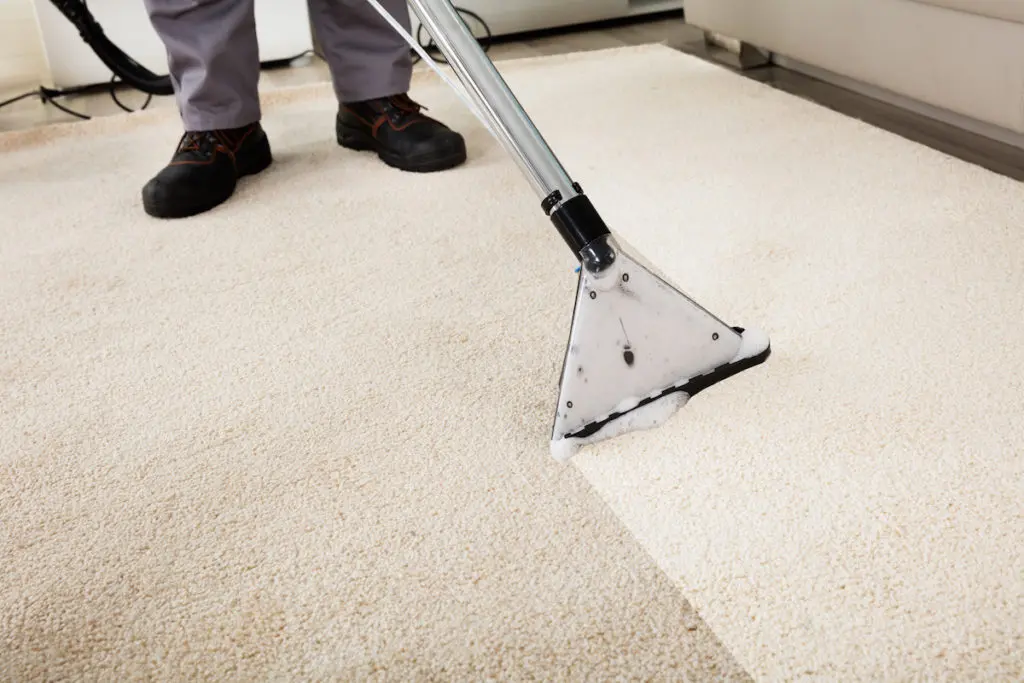 carpet cleaning maidstone